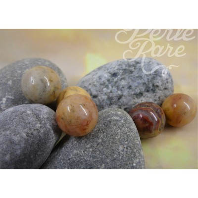 Ronde 12 - Agate folle naturelle (5 pces)